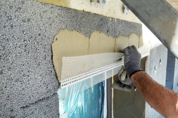 Best Insulation Removal  in Corrales, NM